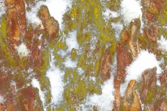 IMG_4147_v6b_