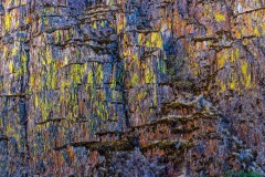 Pano_A0712_Crop_v1_