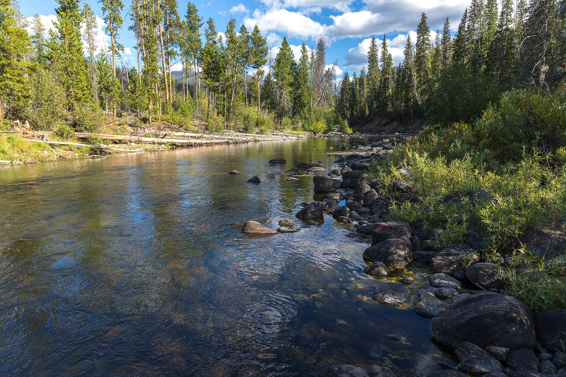 CO-River-_MG_6881_8_mb_
