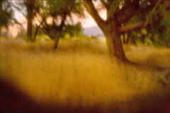 Corn_Creek_2_
