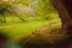 Corn_Creek_Afternoon_v_4_