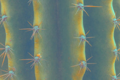 IMG_4389_v5b__