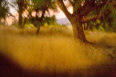 Corn_Creek_2_