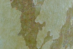 IMG_4558_86_mb__24_mb_