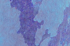 IMG_4558_v2_86_mb_