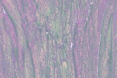 IMG_4643_v4_86_mb_