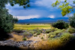 Impressionistic Corn Creek Pano Experimental Technique
