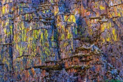 Oregon Landscape Basalt Formation North Facing Vcnty John Day
