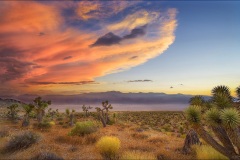 Nevada Scenic Landscape Joe May Road Desert National Wildlife Refuge