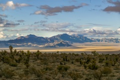 Nevada Scenic Landscape 806V4162 v1b Desert Vista Vcnty Hwy 95