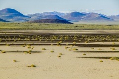 Nevada Scenic Landscape 806V6625 v2 Lunar Lake