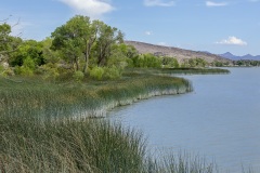 Nevada Scenic Landscape IMG 0702 v2  Pahranagat Lake