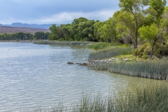 Nevada Scenic Landscape IMG_0705 Pahranagat Lake