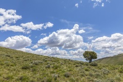 Nevada Scenic Landscape MG 3599 v2 Pancake Summit Vcnty Hwy 50