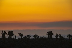 Nevada Scenic Landscape MG 4269 Desert Vista Vcnty Rte 156