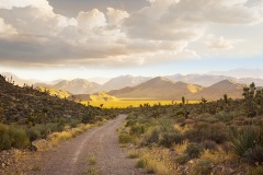Nevada Scenic Landscape Q4G6797 Sheep Pass DNWR