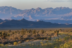 Nevada Scenic Landscape Q4G9186v2bc Vcnty Cold Creek