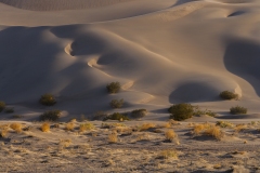Nevada Scenic Landscape Q4G9492_ Big Dune Vcnty Amargosa Valley