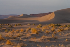 Nevada Scenic Landscape Q4G9503 Big Dune Vcnty Amargosa Valley