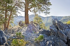 Nevada Scenic Landscape Sunrise_Pano_v_1_ Vcnty Lee Canyon