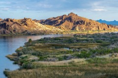 Lake Havasu Panorama
