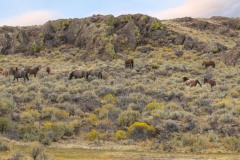 1064_Pano_v2b_smaller_