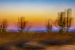 Arizona_Cabeza_Prieta_3Y2A4457_v2_-scaled