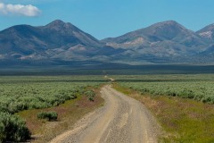 Nevada Panorama