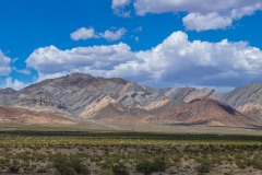 Pano_3688_Beatty_v1_