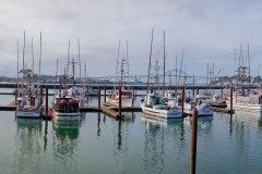Yaquina Bay Harbor