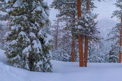 Pano_Path_to_brstlcn_v_77bc_