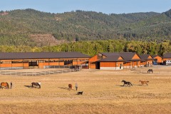 Silver_Tail_Farm_