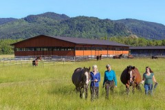 Silver_Tail_Farm_green_fields_