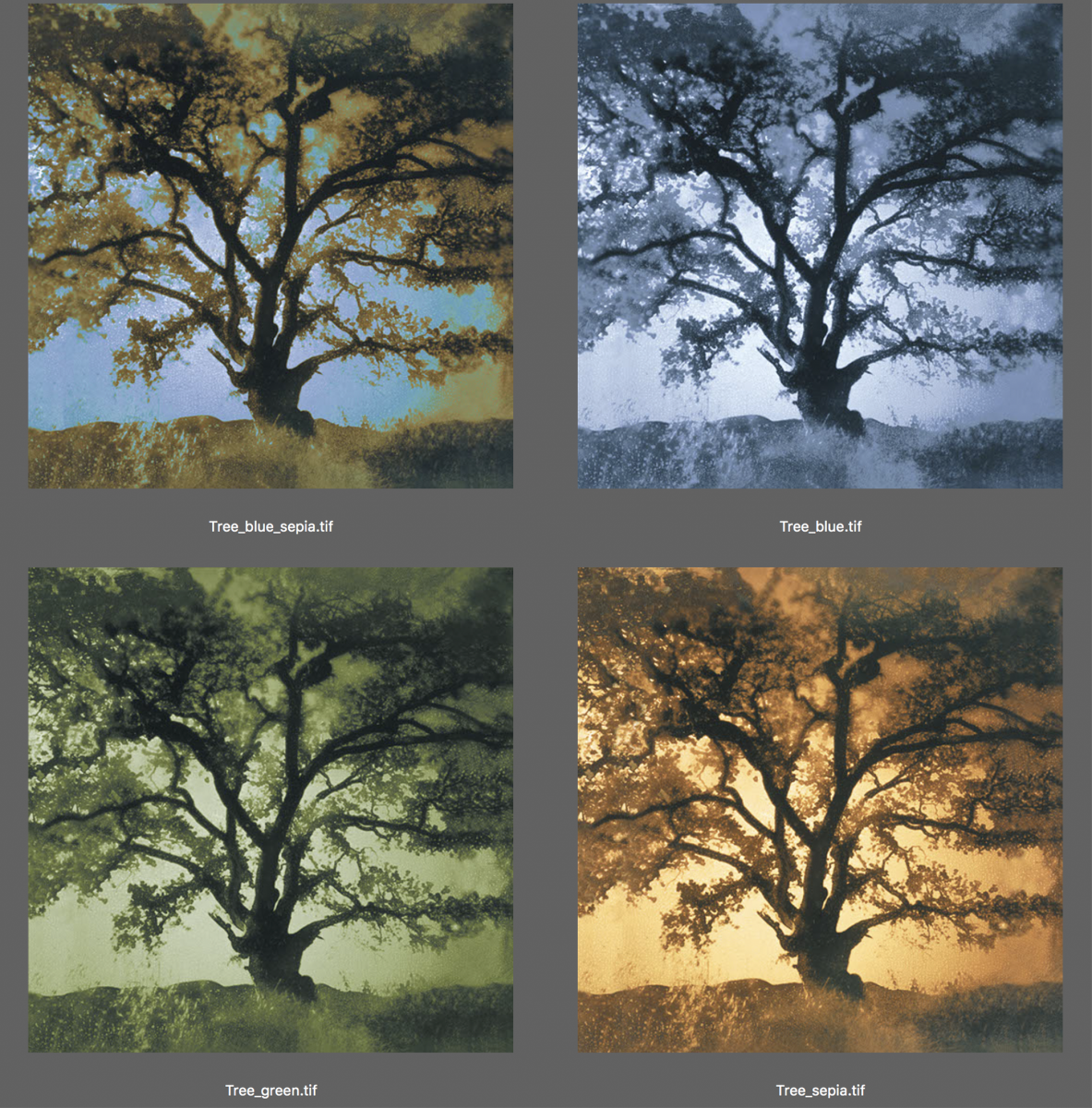 Barona-Oaks-Casino-color-ways-v_2bc-