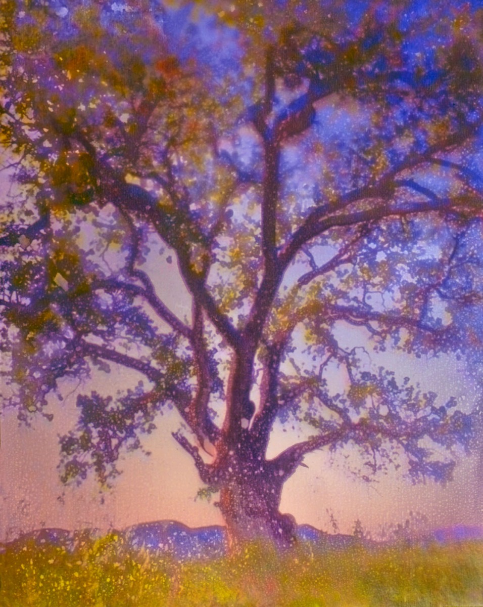 Seiersen-Basse-Tree_v_4_low-rez-